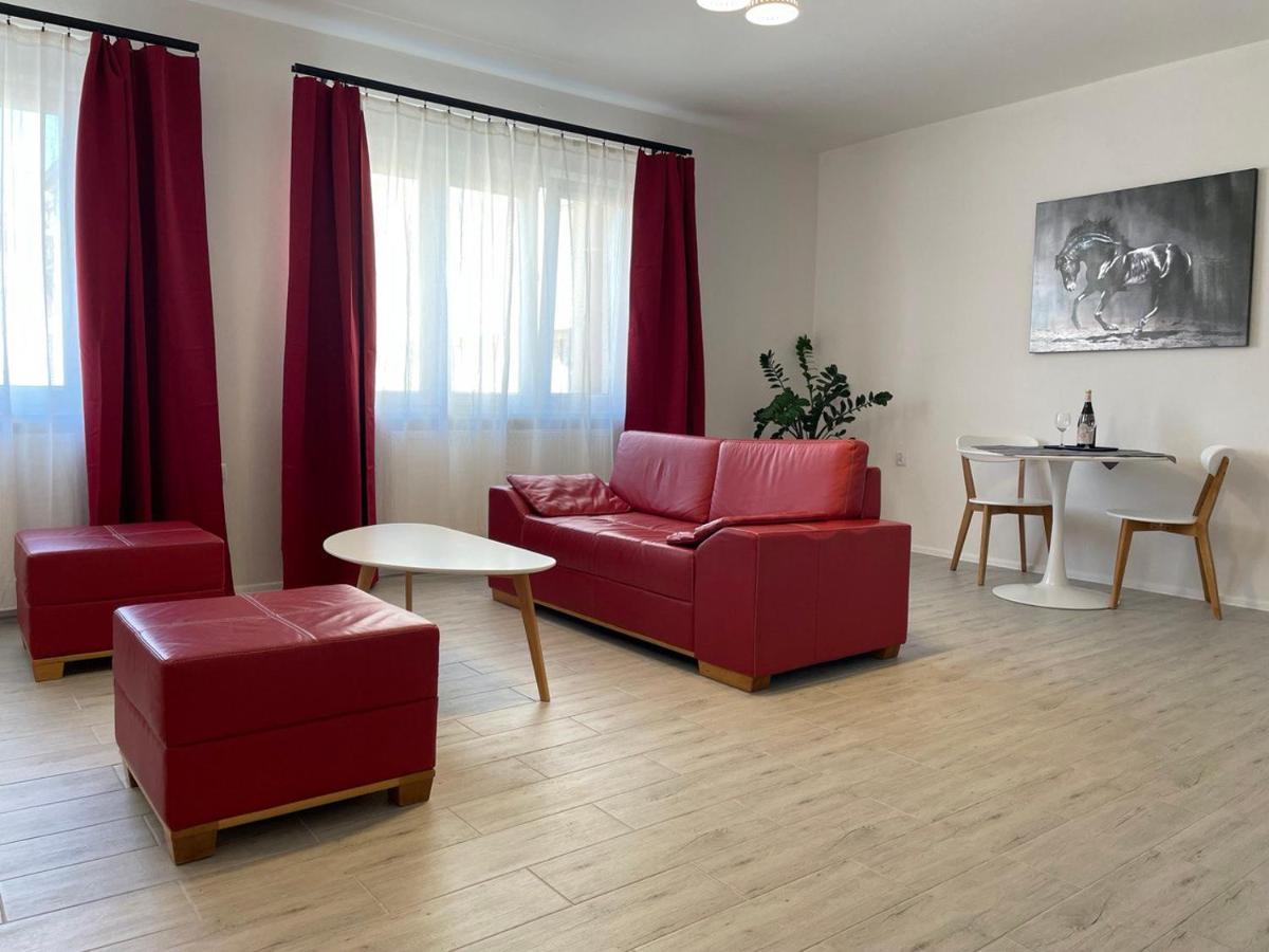 Newly Renovated 2 Rooms Apartment Downtown Nitra Exteriér fotografie